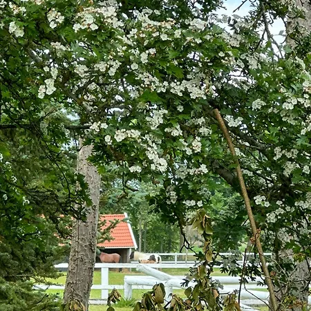 Casa vacanze Pa Naturgrund Naer Lynaes Hundested