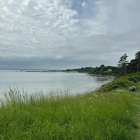 Pa Naturgrund Naer Lynaes * Hundested